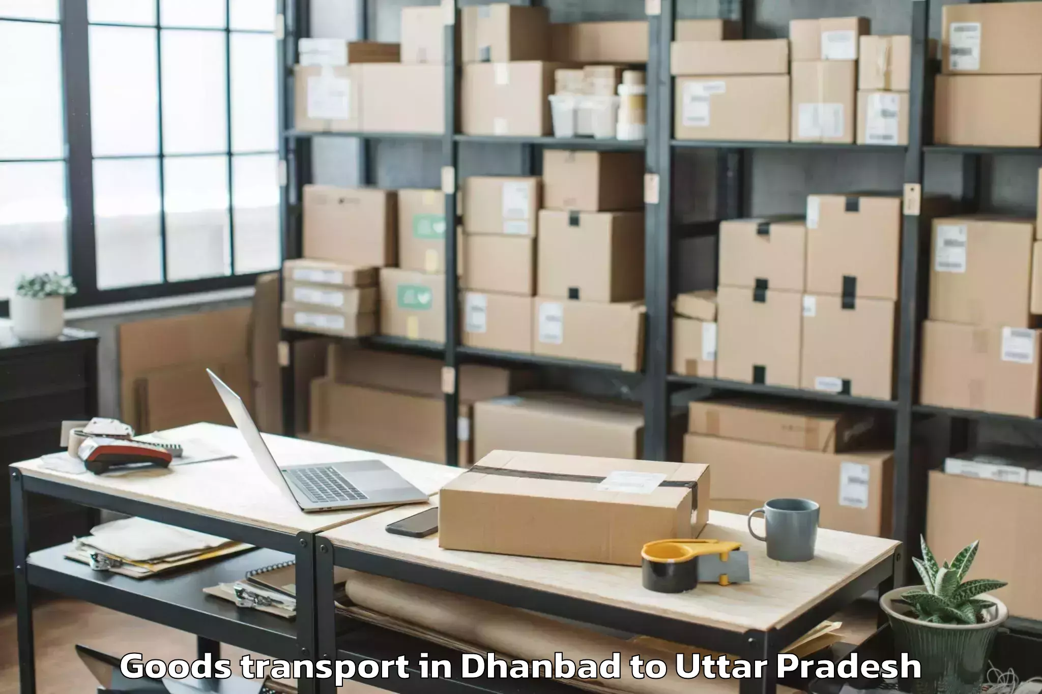 Trusted Dhanbad to Orai Goods Transport